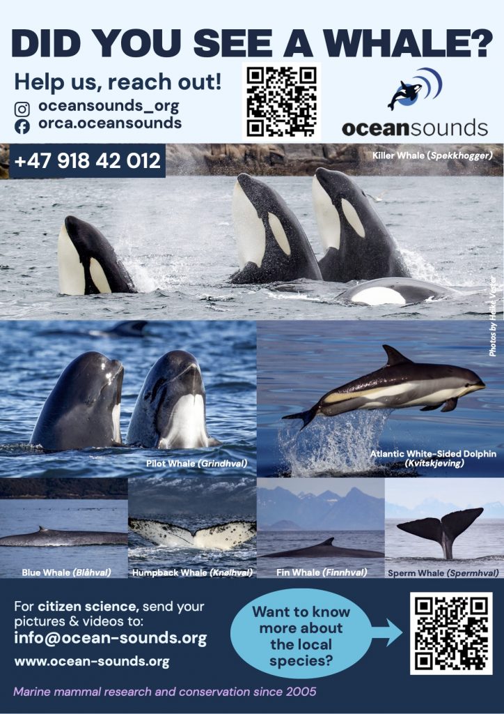 Sighting poster - English_hr
