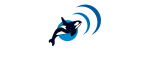 Ocean Sounds